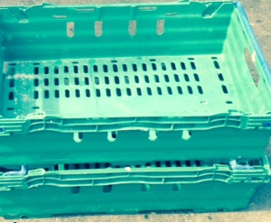 Maxinest bale arm crate – 600x400x100mm