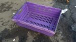 600x400x200 Bale Arm Crates - Purple - Black Arms