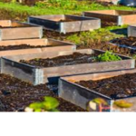 Garden Nursery Pallet Collars (min Order 50 units)