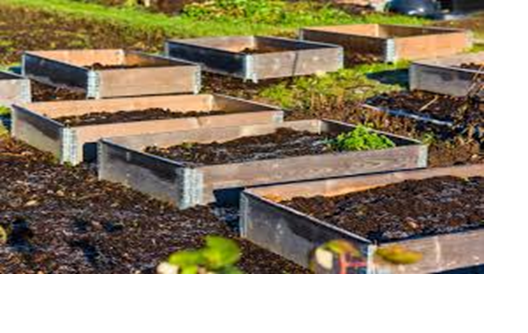 Garden - Pallet Collars